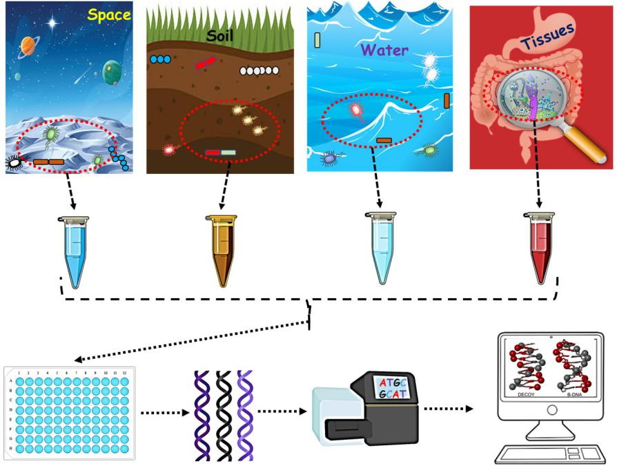 1749786042635325.png 图片1.png